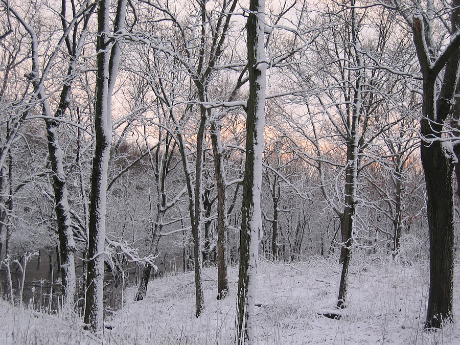 Faint Winter Dusk Photograph by Dylan Punke