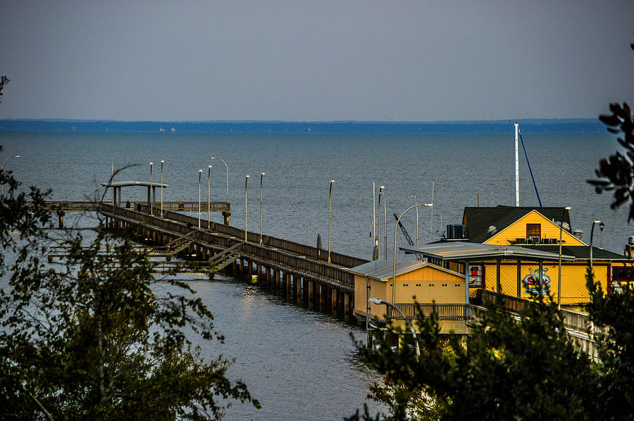 Michael Thomas Photograph - Fairhope Pier from Overlook by Michael Thomas