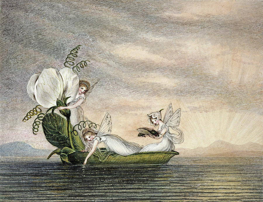 Mermaid Painting - Fairies Floating Downstream In A Peapod by Amelia Jane Murray