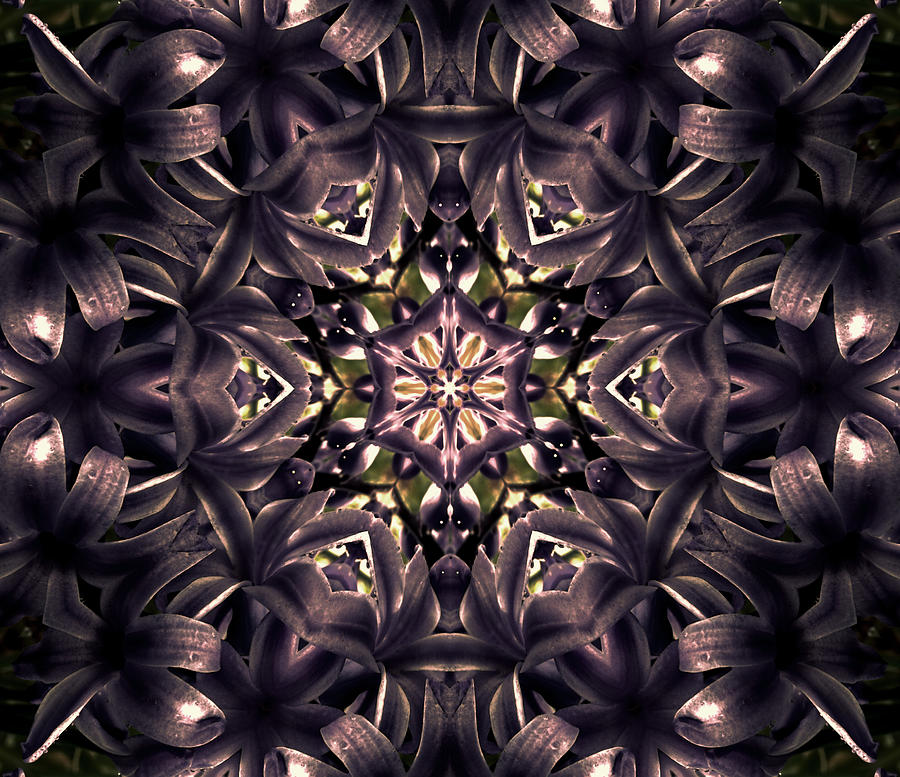 Fairies of the Hyacinth Digital Art by Danielle R T Haney