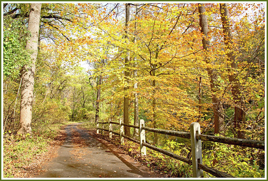 Fairmount Park Path, Philadelphia Landmark, Fall Photograph by A Macarthur Gurmankin