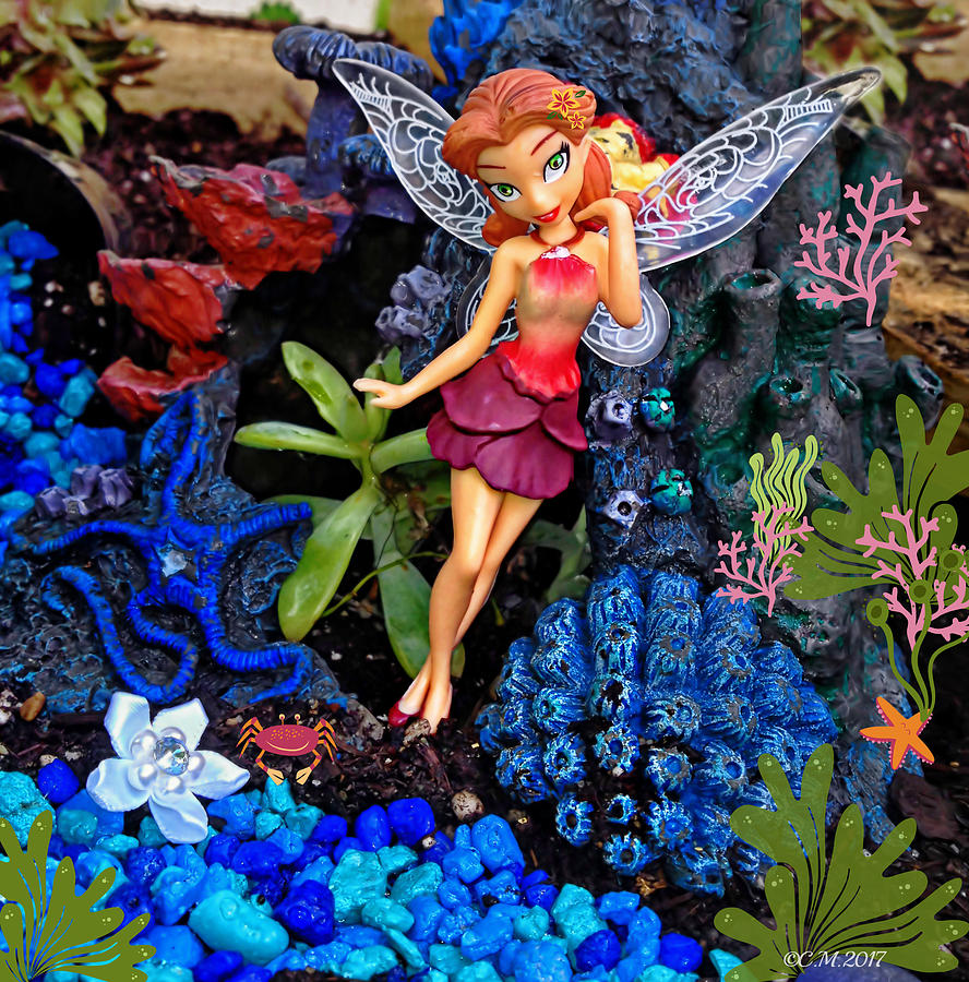 Fairy Aquatic Garden Photograph by Catherine Melvin