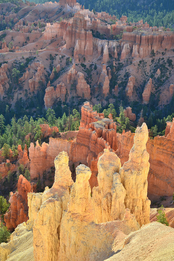 Fairy Castle Hoodoos Photograph by Ray Mathis
