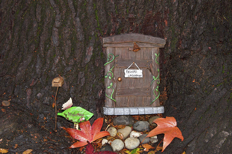 Fairy Door In The City Photograph By Sheila Fitzgerald