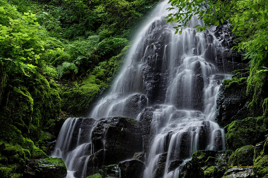 Fairy Falls by Hans Franchesco Fairy Falls by Hans Franchesco