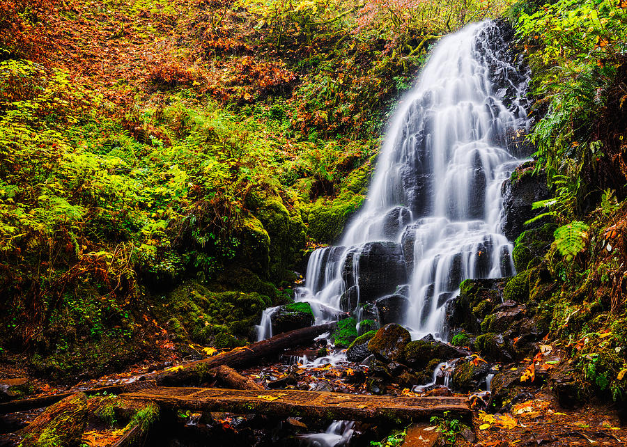 Fairy Falls in autumn in Columbia River Gorge Oregon Photograph by Vishwanath Bhat
