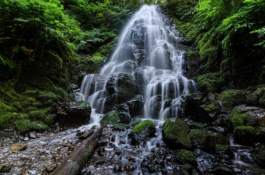 Fairy Falls Photograph by Margaret Pitcher