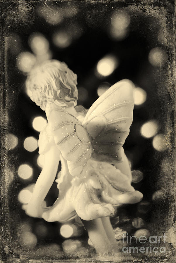 Vintage Photograph - Fairy Figurine by A Cappellari