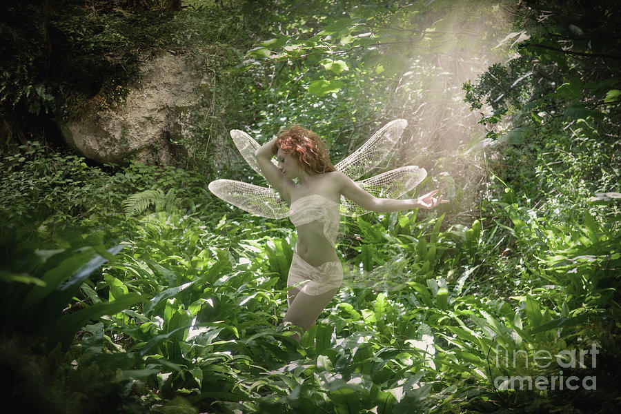 Fairy in the light Photograph by Clayton Bastiani