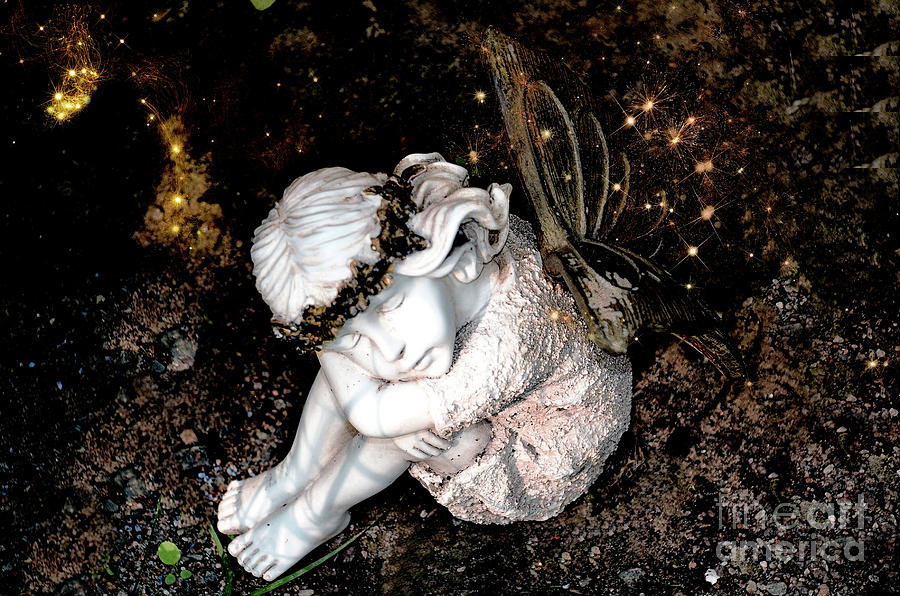 Fairy in Thought Photograph by Elaine Manley