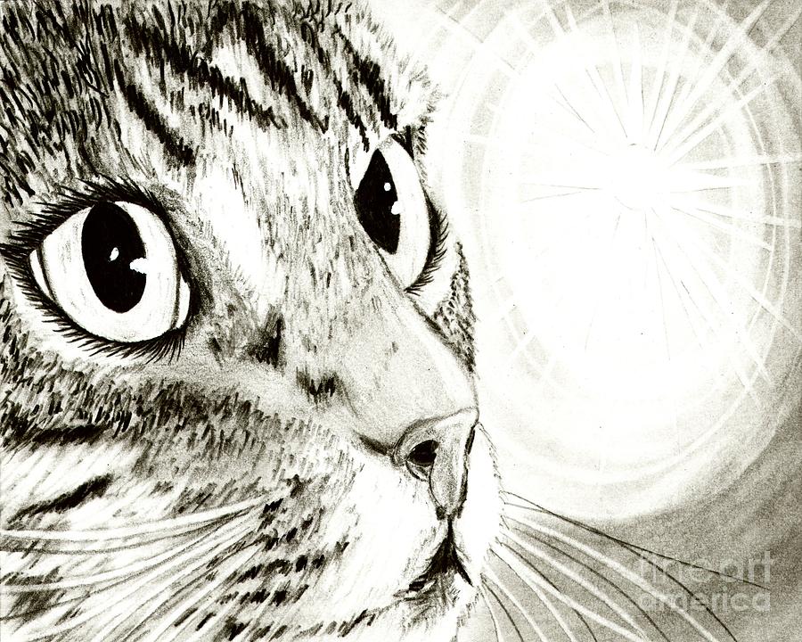 Fairy Light Tabby Cat Drawing Drawing by Carrie Hawks