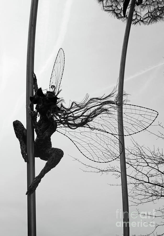 Fairy sculpture Photograph by Julia Gavin