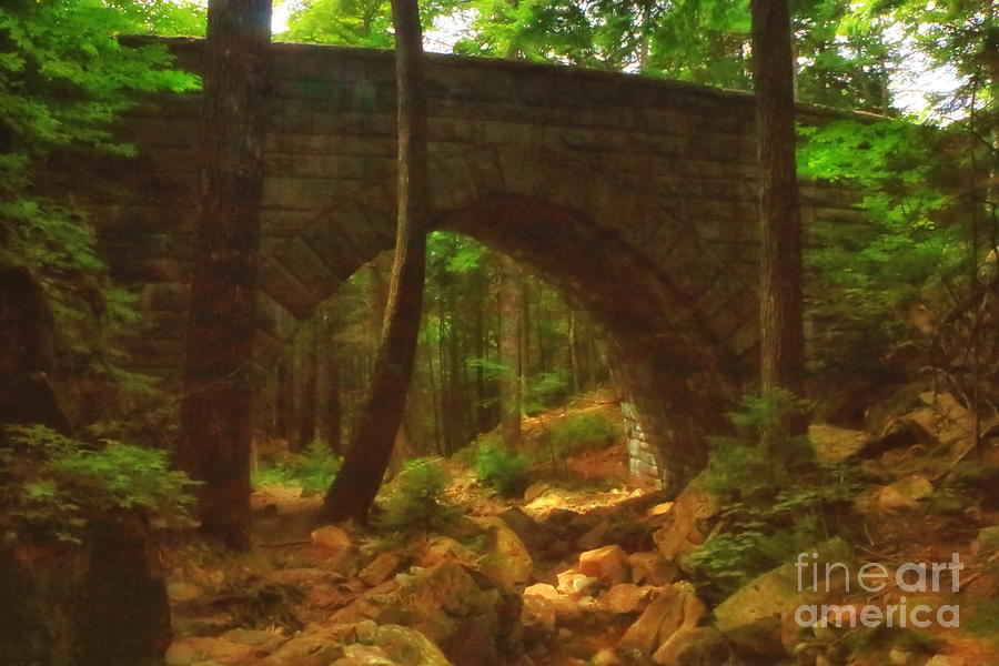 Fairy Tale Bridge Photograph by Elizabeth Dow
