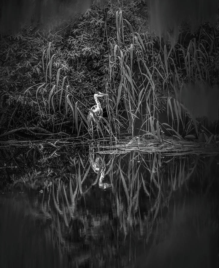 Heron Photograph - Fairy Tale Heron BW #h2 by Leif Sohlman