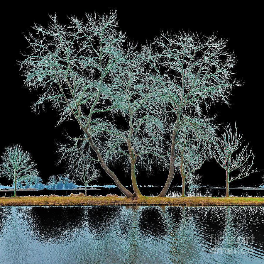 Fairy tree-1 Digital Art by Casper Cammeraat