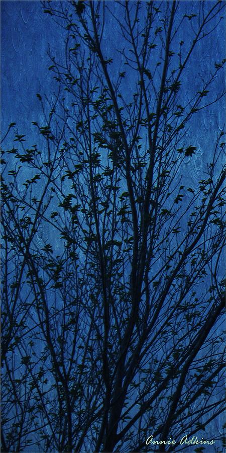 Fairy Tree in Blue Photograph by Annie Adkins
