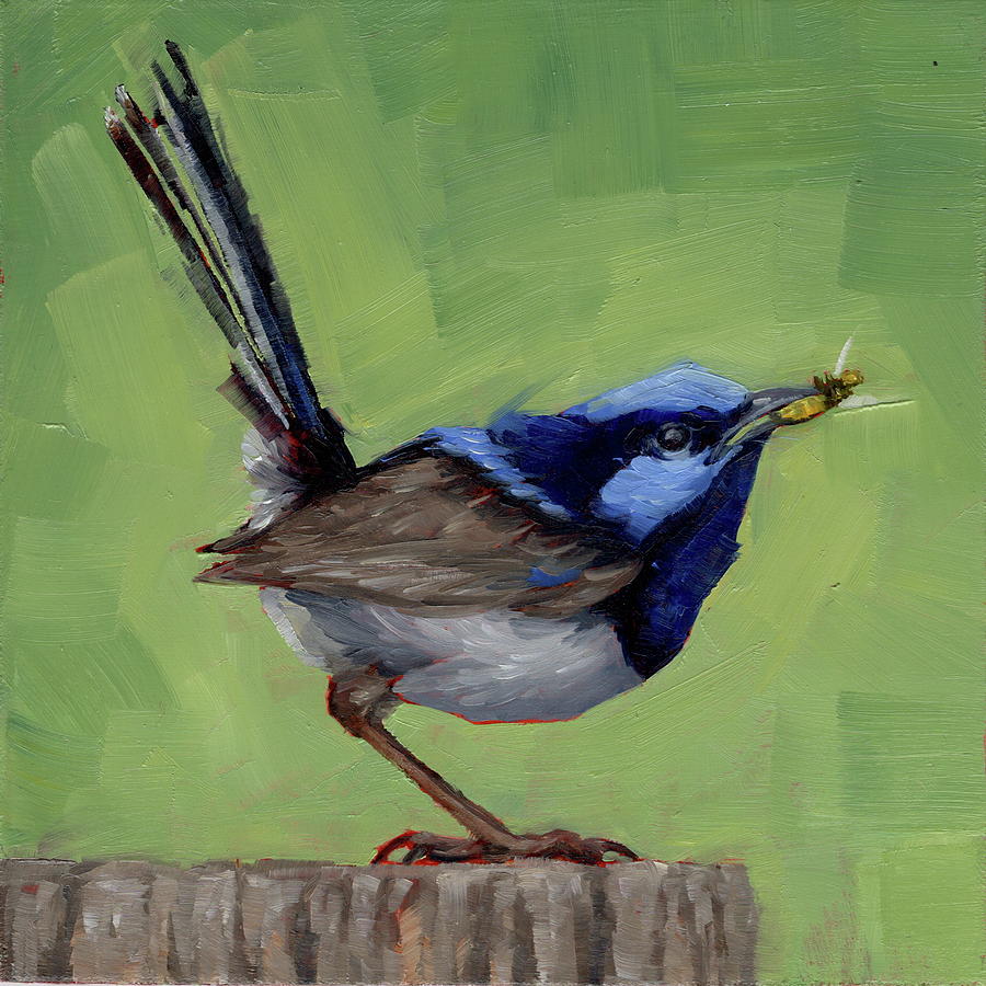 Fairy Wren With Lunch  Painting by Margaret Stockdale