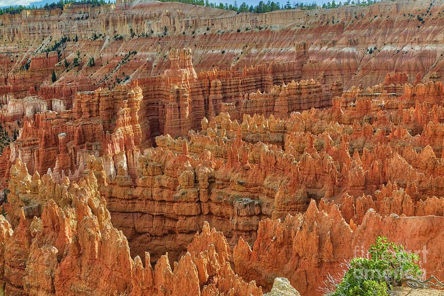 Bryce Canyon National Park Photograph - Fairyland  8b8288 by Stephen Parker