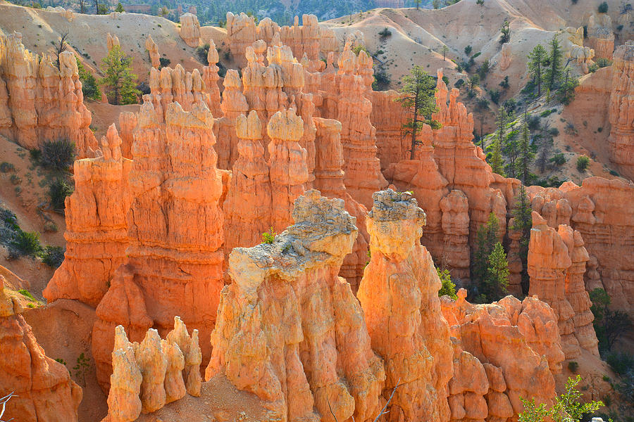 Fairyland Canyon Photograph by Ray Mathis
