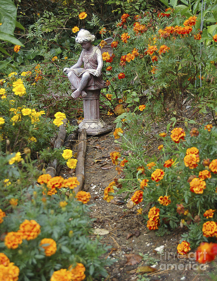 fairys in a Marigold garden Photograph