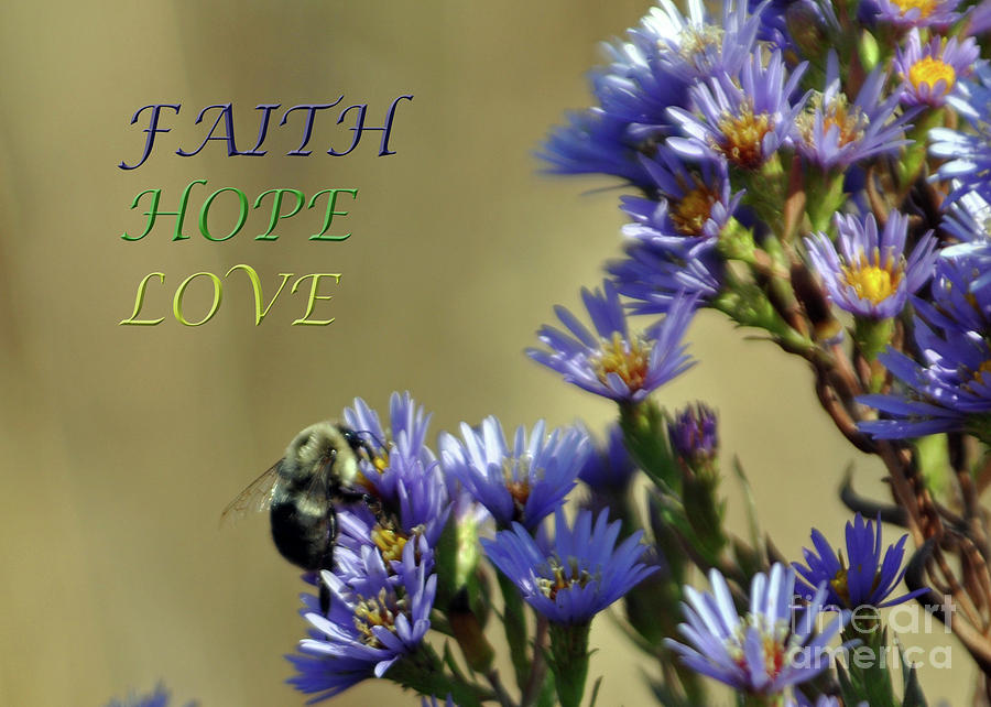 Faith Hope Love Photograph by Lydia Holly