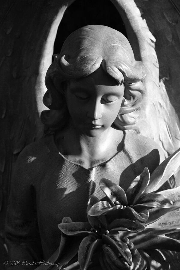 Flower Photograph - Faith Series - Angel I by Carol Hathaway
