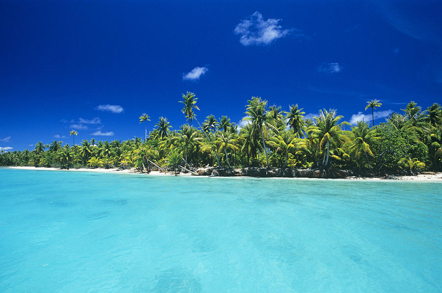 Fakarava Atoll Photograph by Alexis Rosenfeld