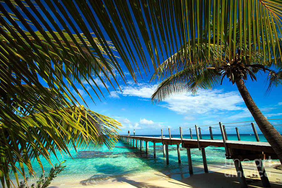 Paradise Photograph - Fakarava Atoll by David Cornwell/First Light Pictures, Inc - Printscapes