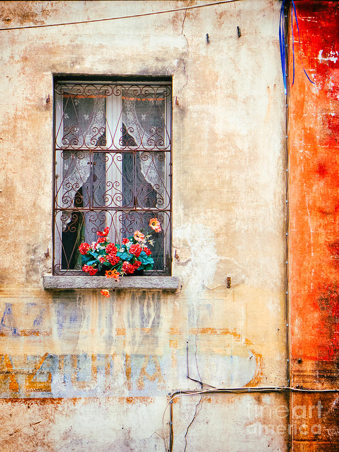 Fake flowers on window Photograph by Silvia Ganora