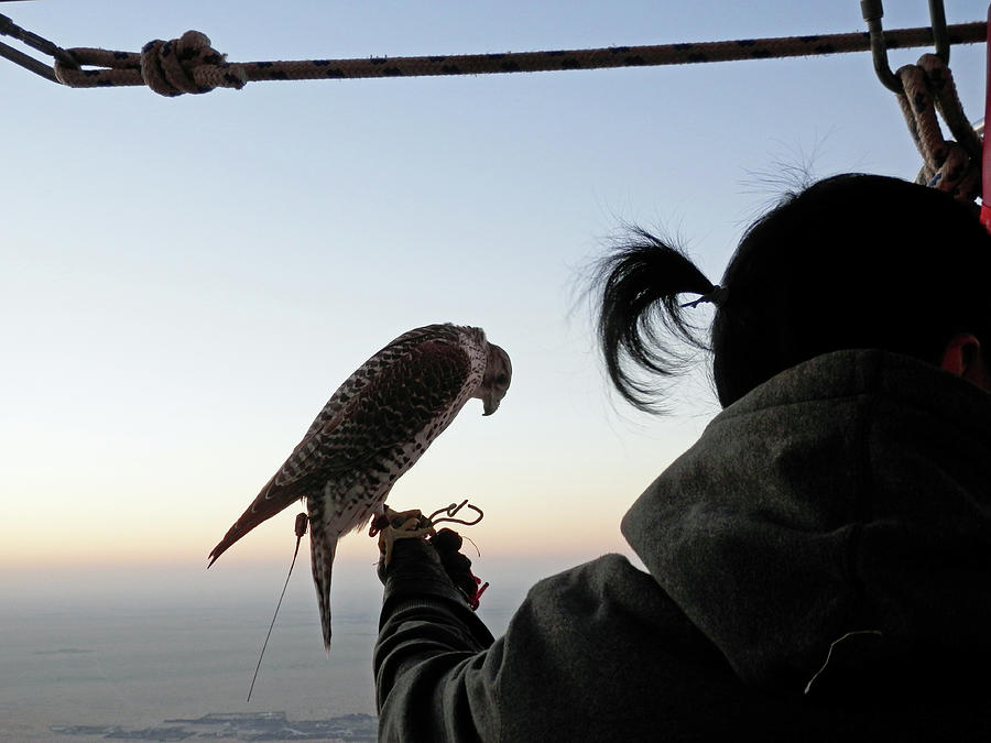 Falcon and Trainer Photograph by Pema Hou
