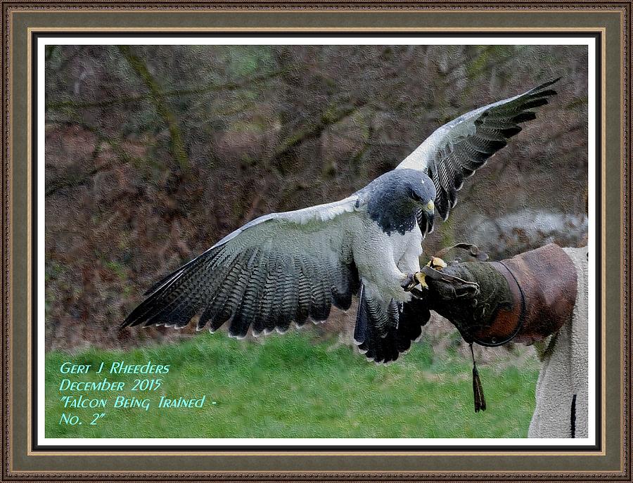 Falcon Being Trained No. 2 H A With Decorative Ornate Printed Frame. Painting