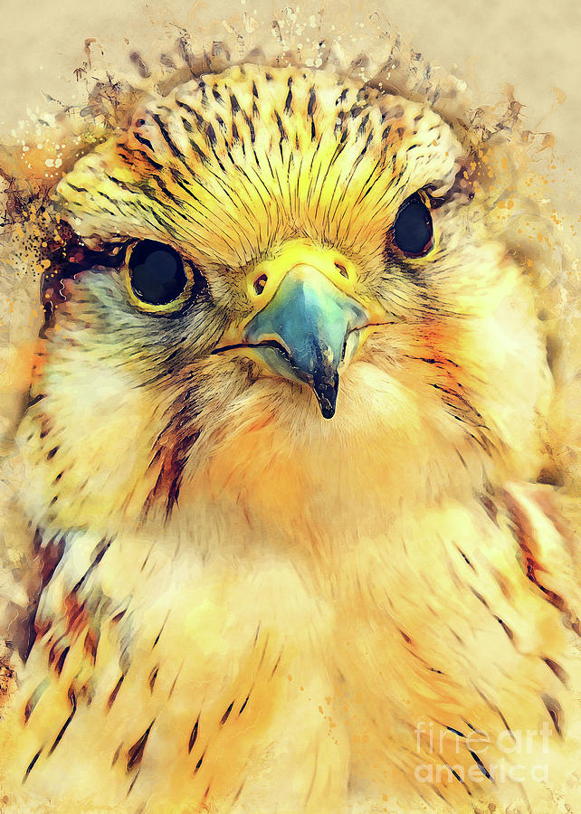 Falcon bird art Digital Art by Justyna Jaszke JBJart