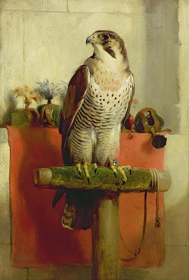 Falcon Painting by Edwin Henry Landseer