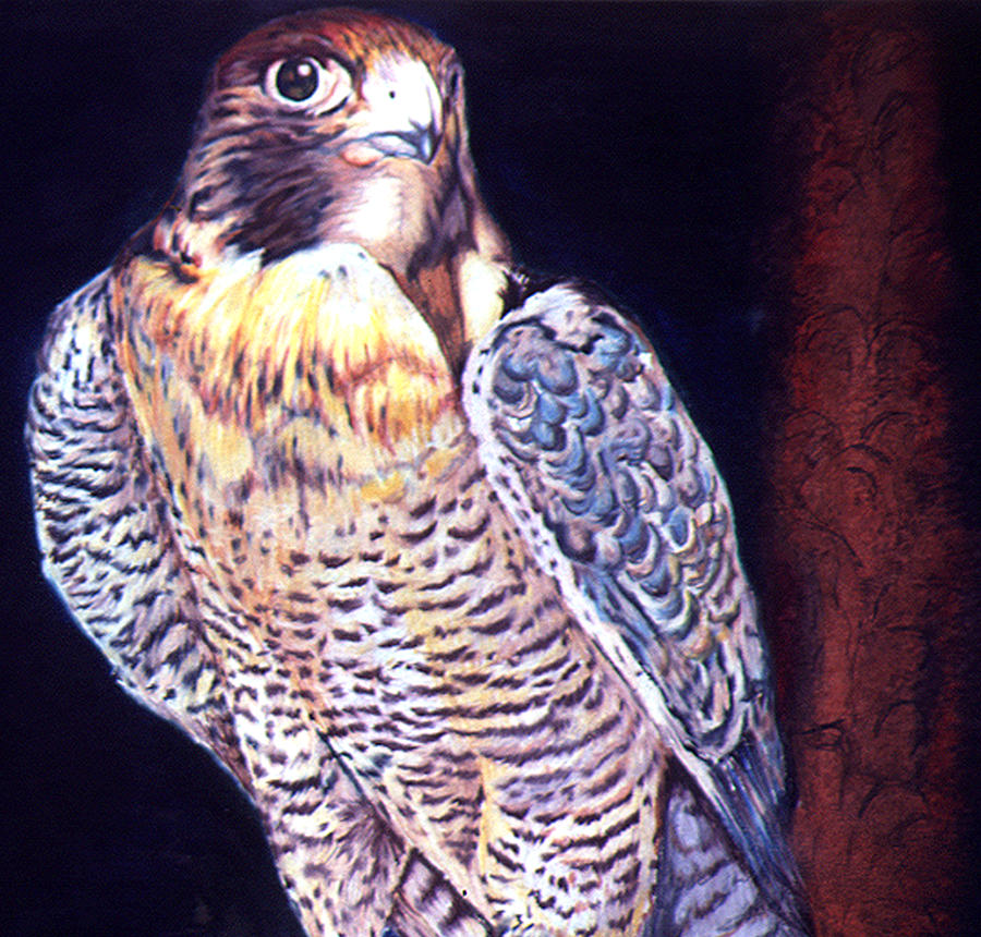 Falcon Gaze Painting by Thomas Hamm