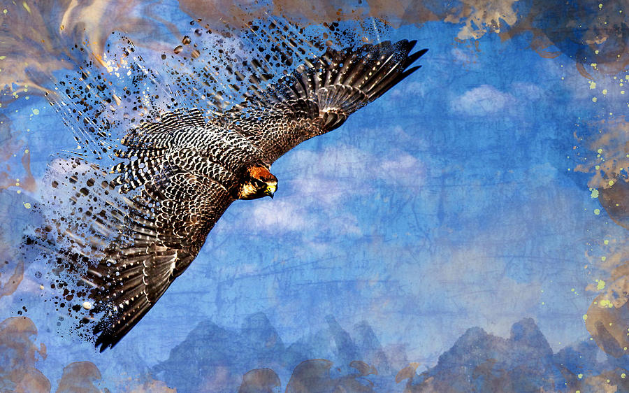 Falcon Digital Art - Falcon by Maye Loeser