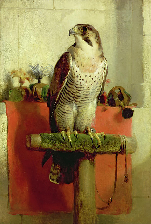 Falcon Baby Onesies for Sale - Fine Art America