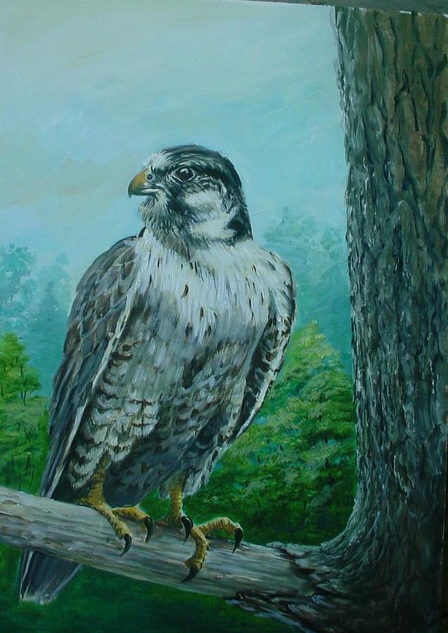 Falcon Painting by Perrys Fine Art