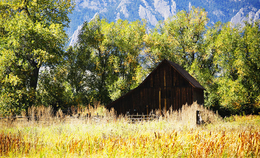 Old Barn Nestled Photograph by Marilyn Hunt