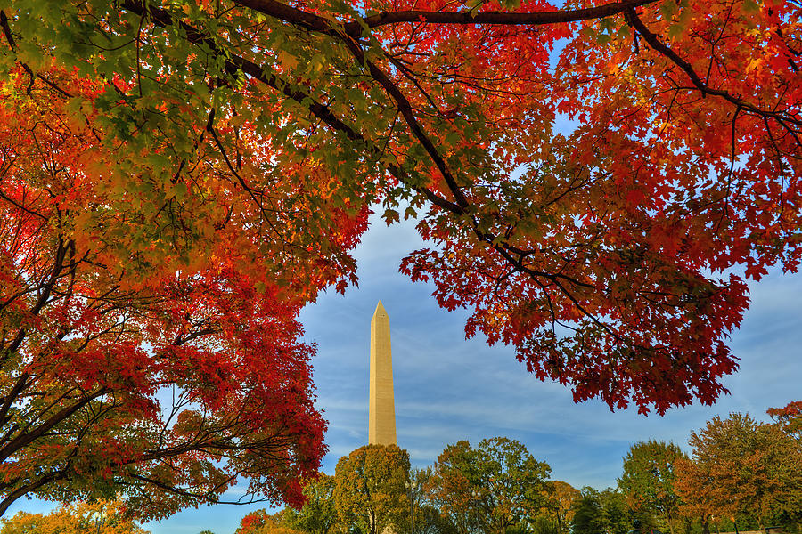 Fall 2015 Washington DC Photograph by Bill Dodsworth