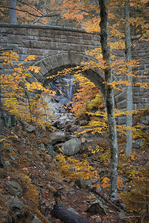 Fall a Bridge in Acadia NP Maine IMG 6405 Photograph by Greg Kluempers