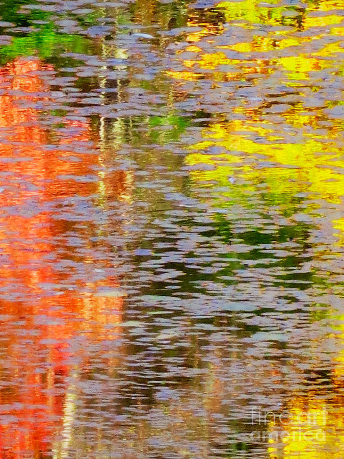Fall Abstract Photograph by Kathy Strauss