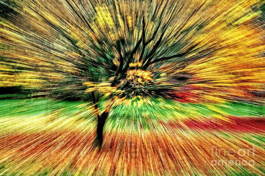 Fall Abstract Photograph by Martyn Arnold