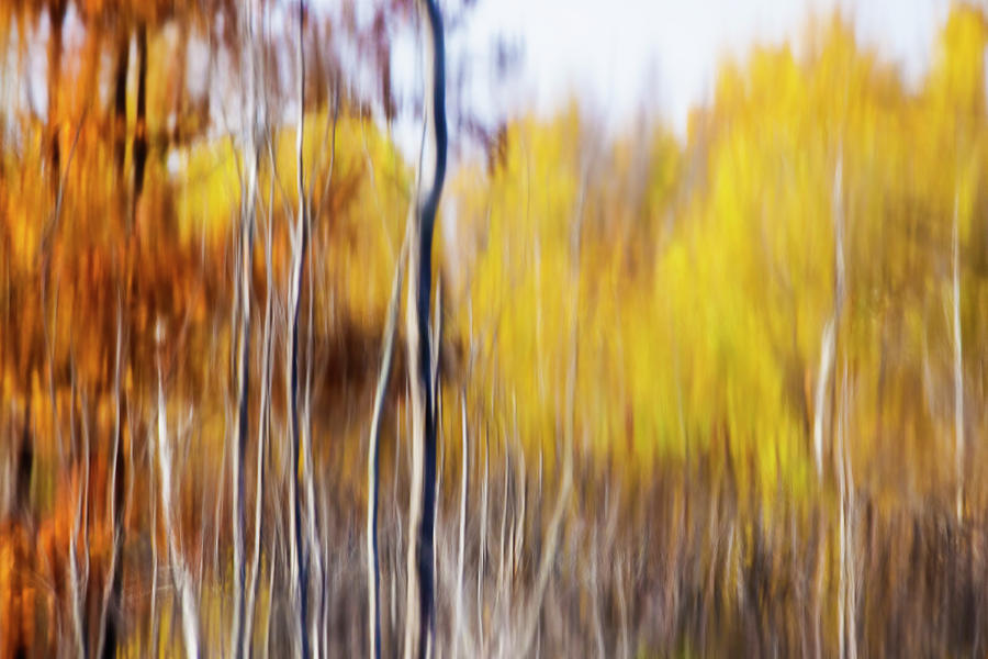 Fall Abstract Photograph by Mircea Costina Photography