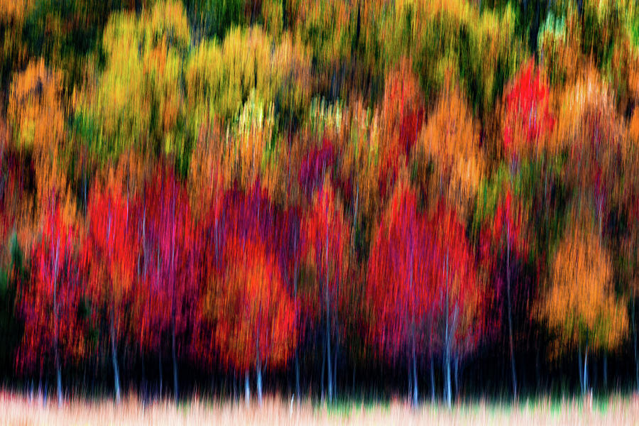 Fall Abstract Photograph by Richard Macquade