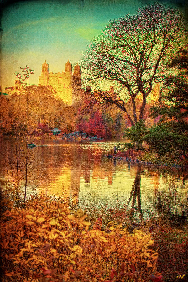 Fall Afternoon In Central Park Photograph by Chris Lord