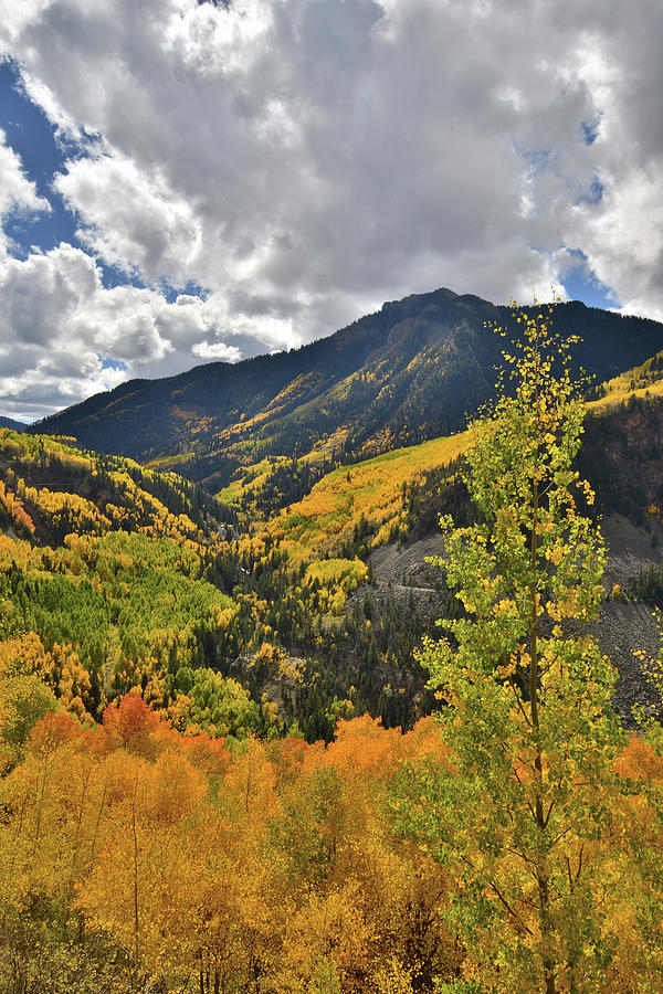Fall Afternoon in Colorado Photograph by Ray Mathis