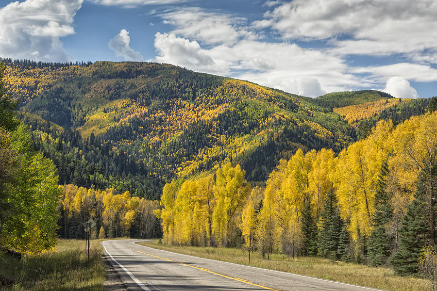 Fall Along Colorado Hwy 145 DSC07375 Photograph by Greg Kluempers ...