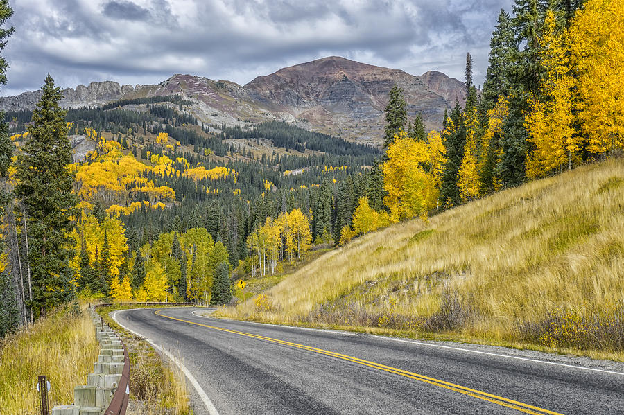 Fall Along Hwy 12 in Colorado DSC07158-9 Photograph by Greg Kluempers