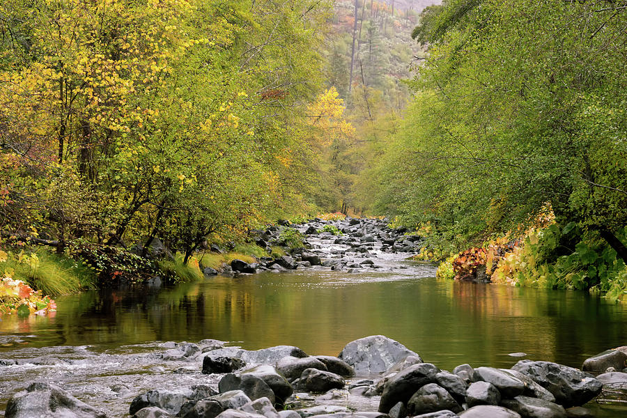 Fall Along The Stream Photograph by Steven Clark