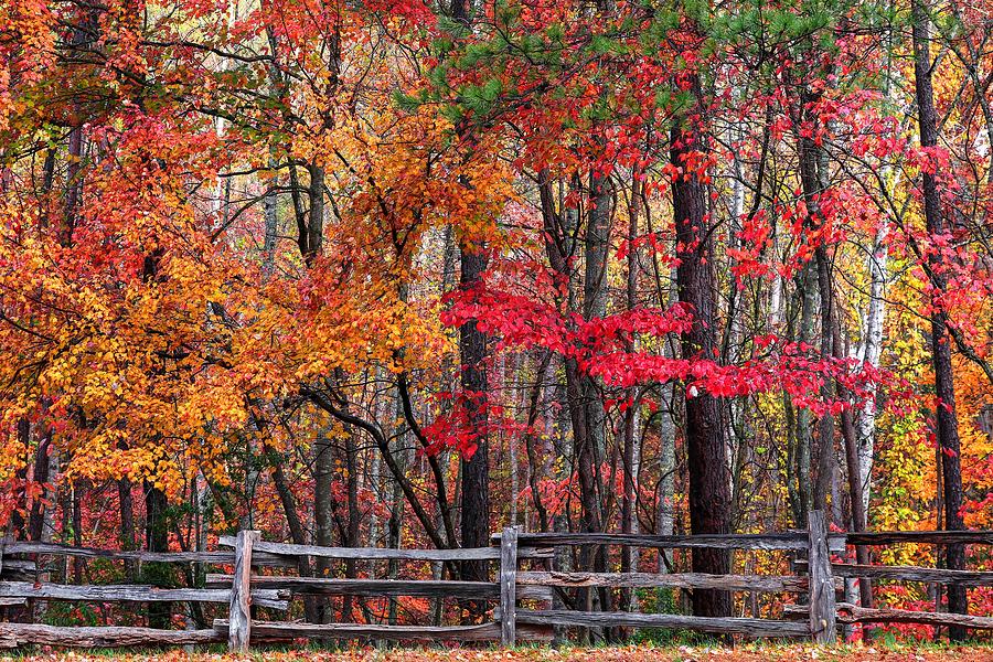 Fall And The Wood Fence Photograph